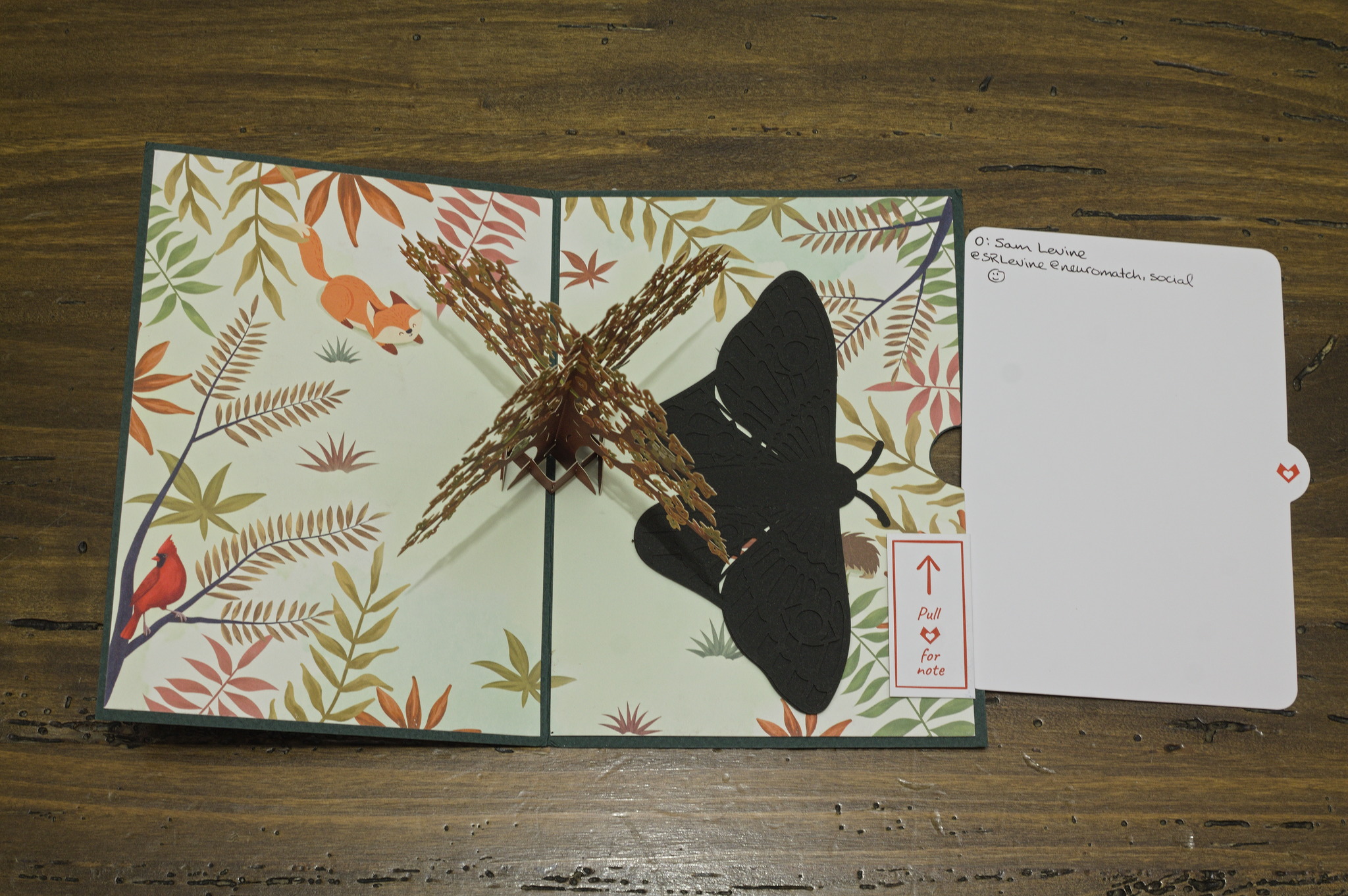 an open pop-up greeting card viewed from the top. there's what appears to be a black butterfly or moth sticker/cutout in it. next to it is a note that someone has signed.